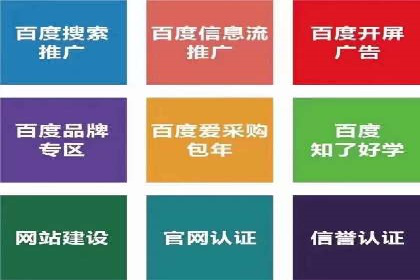 大型企业SEM外包实战案例